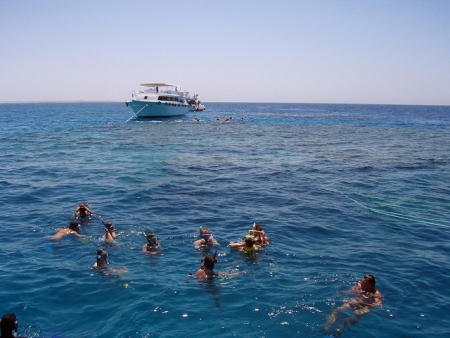 رحلة غطس ليوم واحد إلى رأس محمد من مرسى شرم