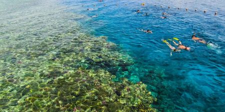 الغوص في شرم الشيخ