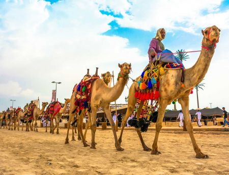 جولة إلى سوق الإبل في برقاش